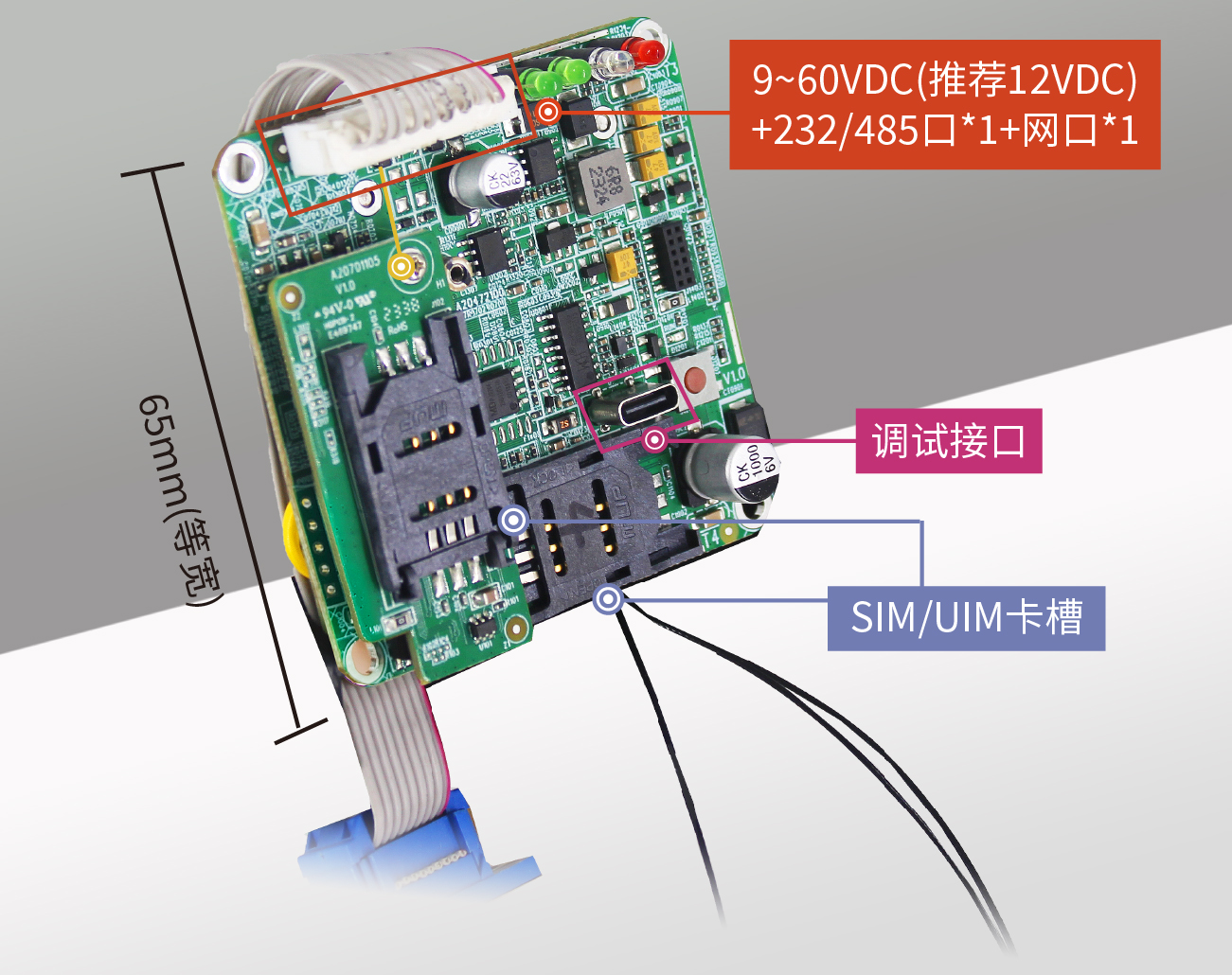 未標題-1_畫板 1.jpg